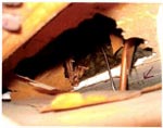 Attic Hole